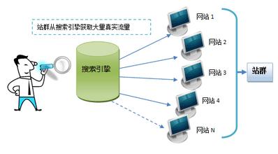 网站建设之站群SEO应该怎样操作？